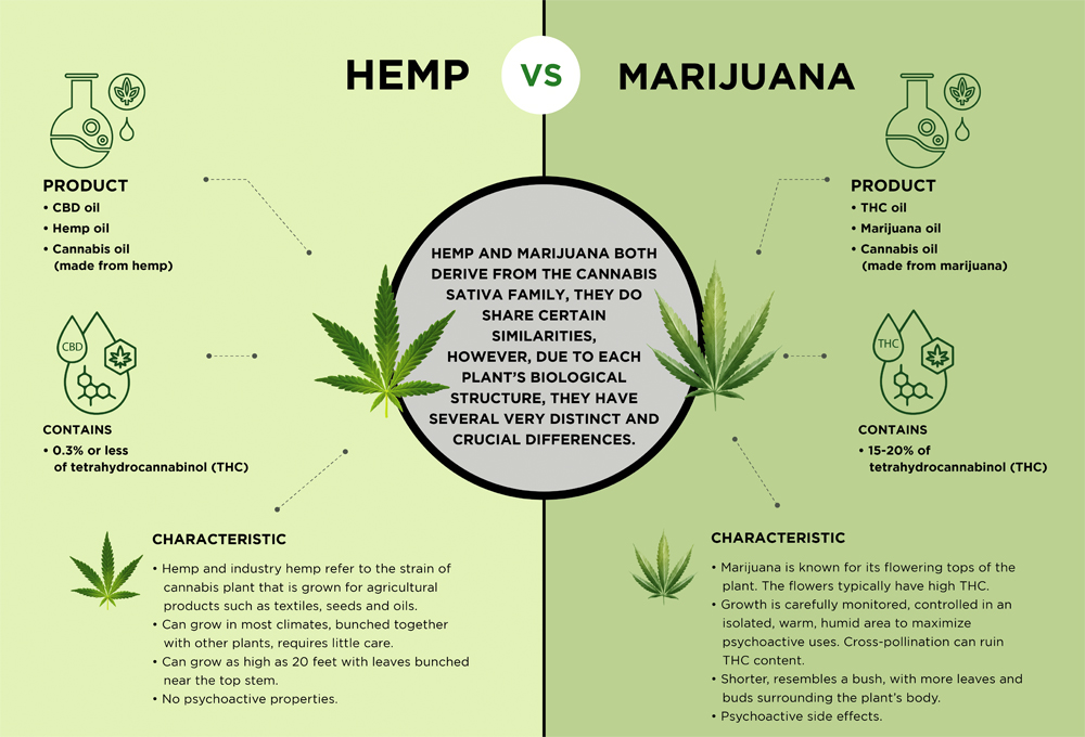 Mesohemp Face Mask